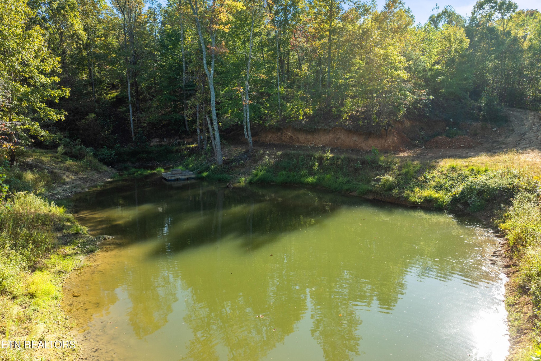 228 Pattie Gap Road Philadelphia, TN 37846 - Photo 51 of 57 a view of lake background with green space