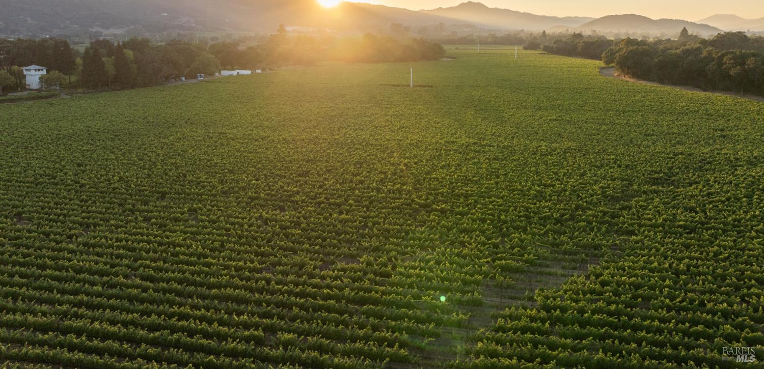 0 Ragatz Lane Napa, CA 94558 - Photo 3 of 27 Gallery Image 3