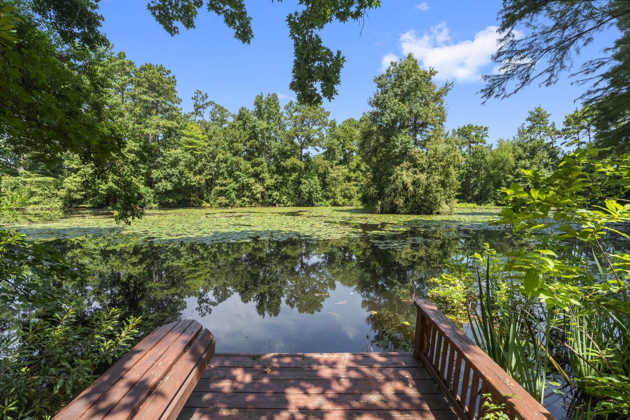 426 Nursery Road The Woodlands, TX 77380 - Photo 34 of 41 Glorious pond and greenery is lush.