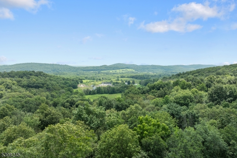 51 Pidgeon Hill Road Wantage, NJ 07461 - Photo 39 of 39 a view of a green field with lots of bushes