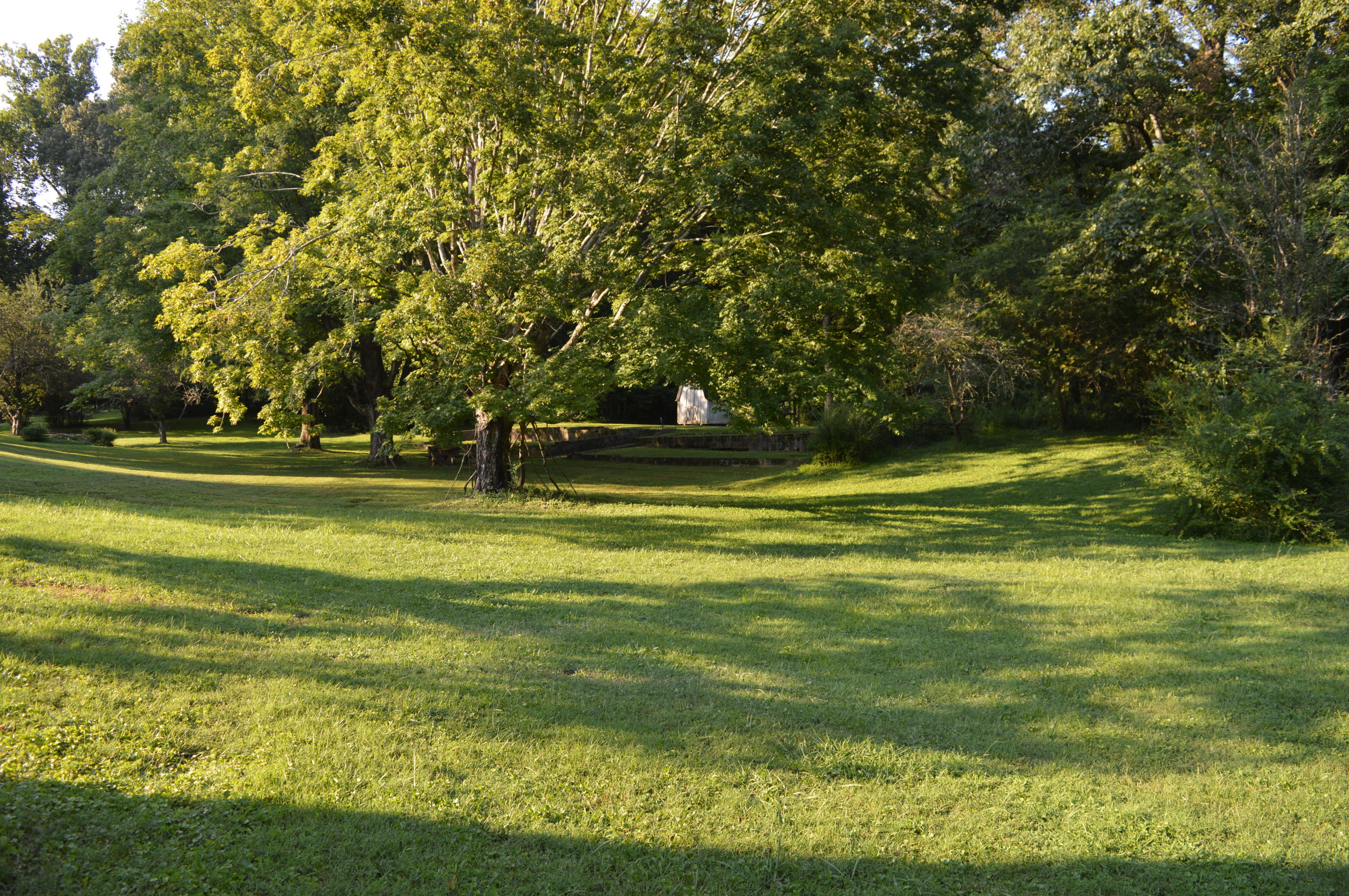 112 Underwood Road Oak Ridge, TN 37830 - Photo 31 of 40 Back yard