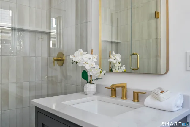 a bathroom sink with a potted plant
