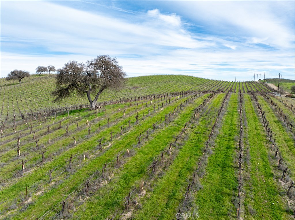 4774 Mill Road Paso Robles, CA 93446 - Photo 23 of 32