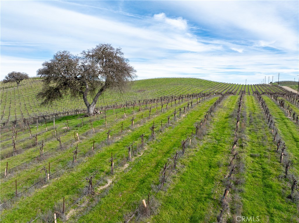 4774 Mill Road Paso Robles, CA 93446 - Photo 24 of 32