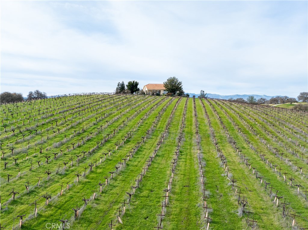 4774 Mill Road Paso Robles, CA 93446 - Photo 6 of 32