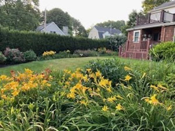 8 Parker Road Winchester, MA 01890 - Photo 28 of 37 a view of a house with a yard and potted plants