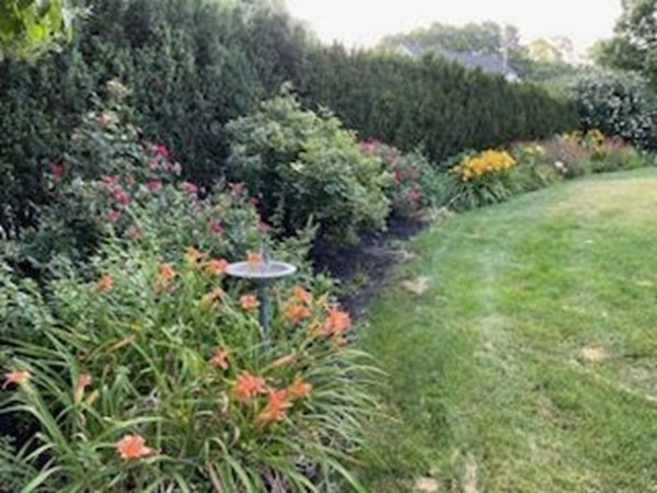 8 Parker Road Winchester, MA 01890 - Photo 29 of 37 a view of a garden with plants and large trees