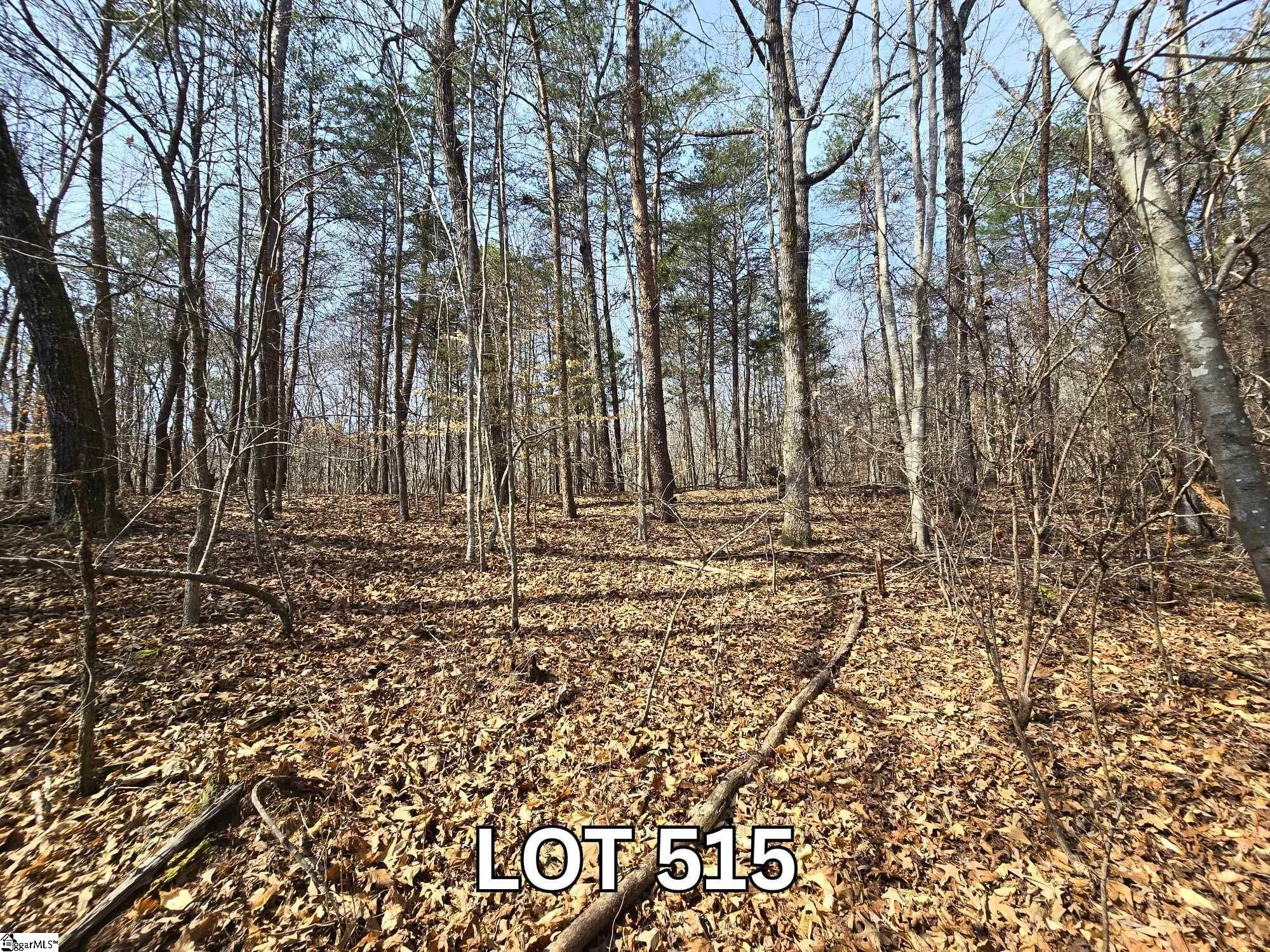 Lot 515 Point Road Westminster, SC 29693 - Photo 1 of 15