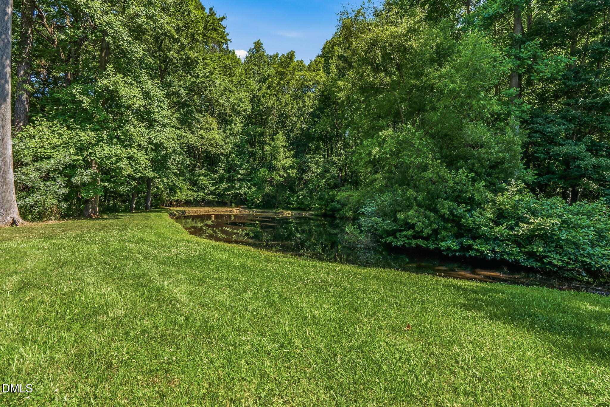 1112 Tyler Farms Drive Raleigh, NC 27603 - Photo 56 of 78 a view of a backyard with potted plants and large trees