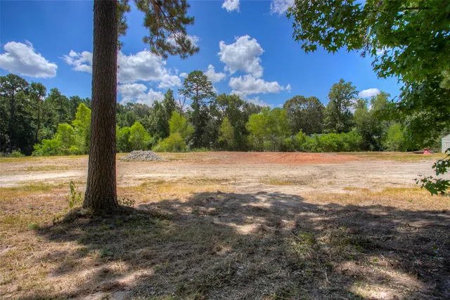 a view of a tree with an ocean view