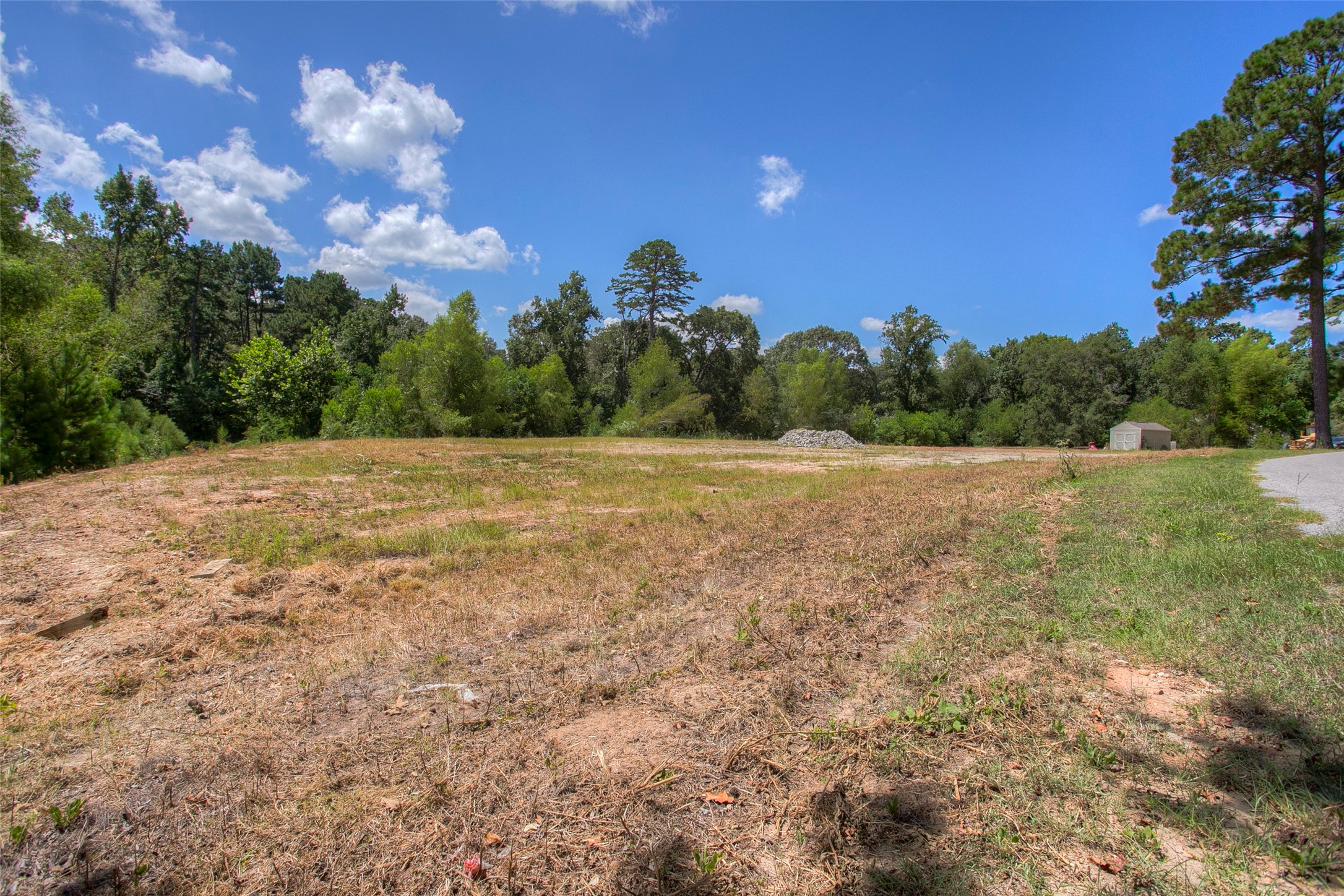 110 Allen Road Huntsville, TX 77320 - Photo 3 of 20 a view of a field with trees in the background