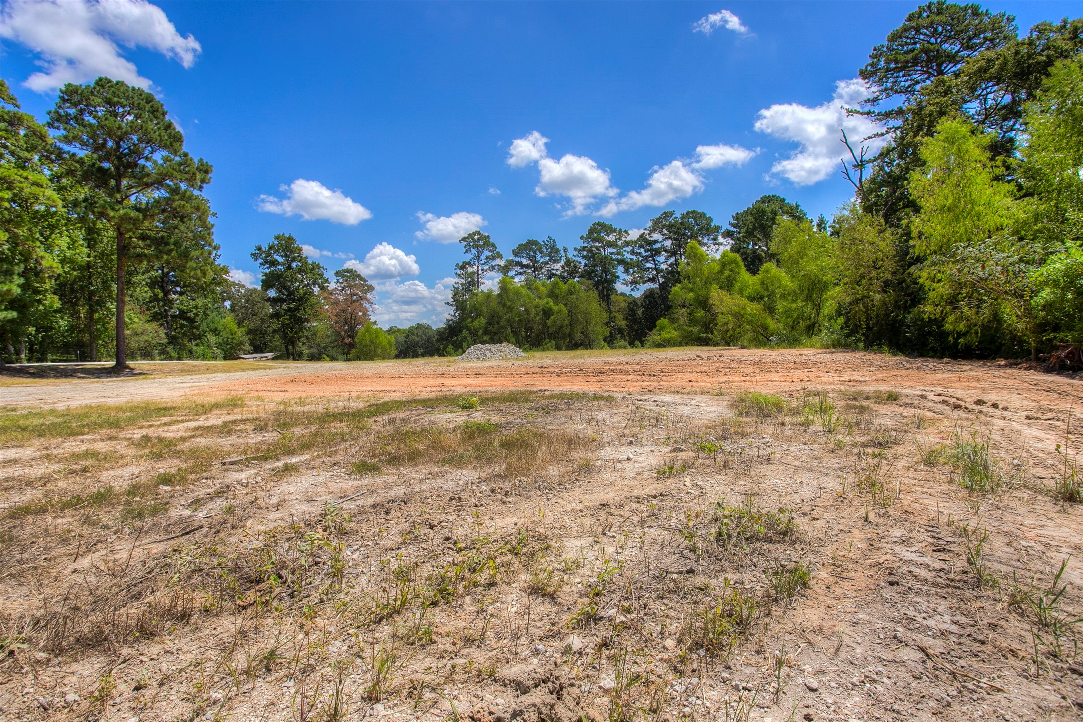 110 Allen Road Huntsville, TX 77320 - Photo 4 of 20 a view of an outdoor space with yard