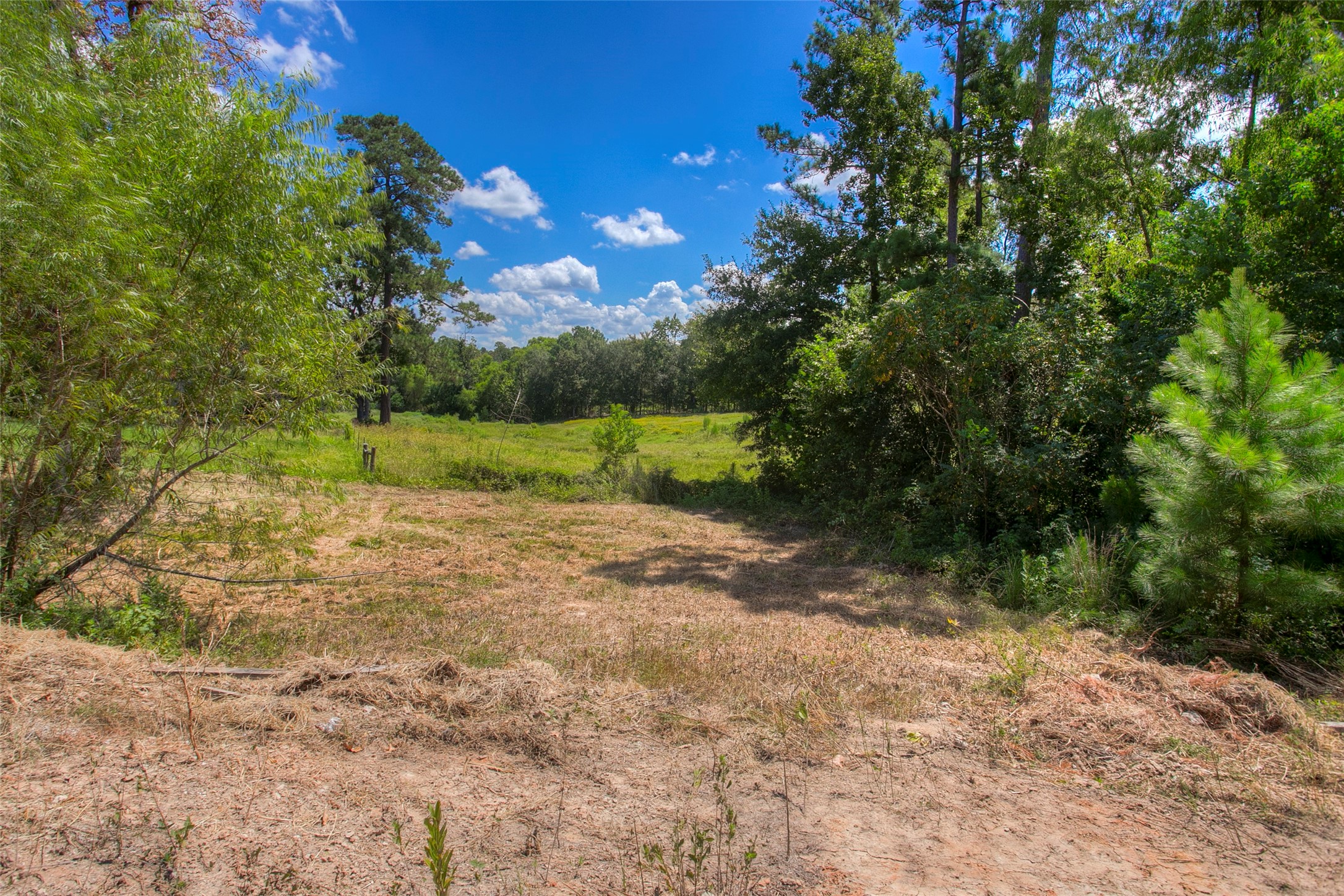 110 Allen Road Huntsville, TX 77320 - Photo 5 of 20 a view of an outdoor space with a lake view