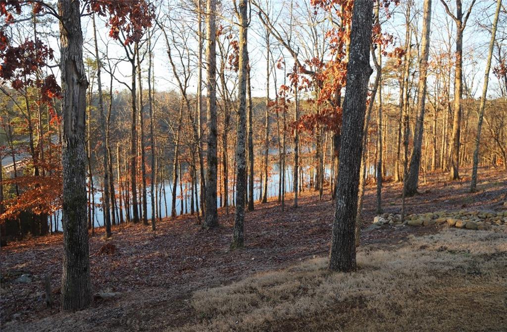 205 Lakeside Place Canton, GA 30114 - Photo 5 of 65 a view of outdoor space with lots of trees