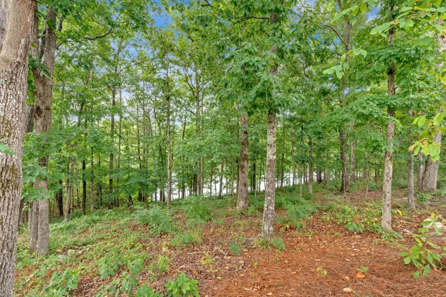 205 Lakeside Place Canton, GA 30114 - Photo 53 of 65 a view of outdoor space and green space