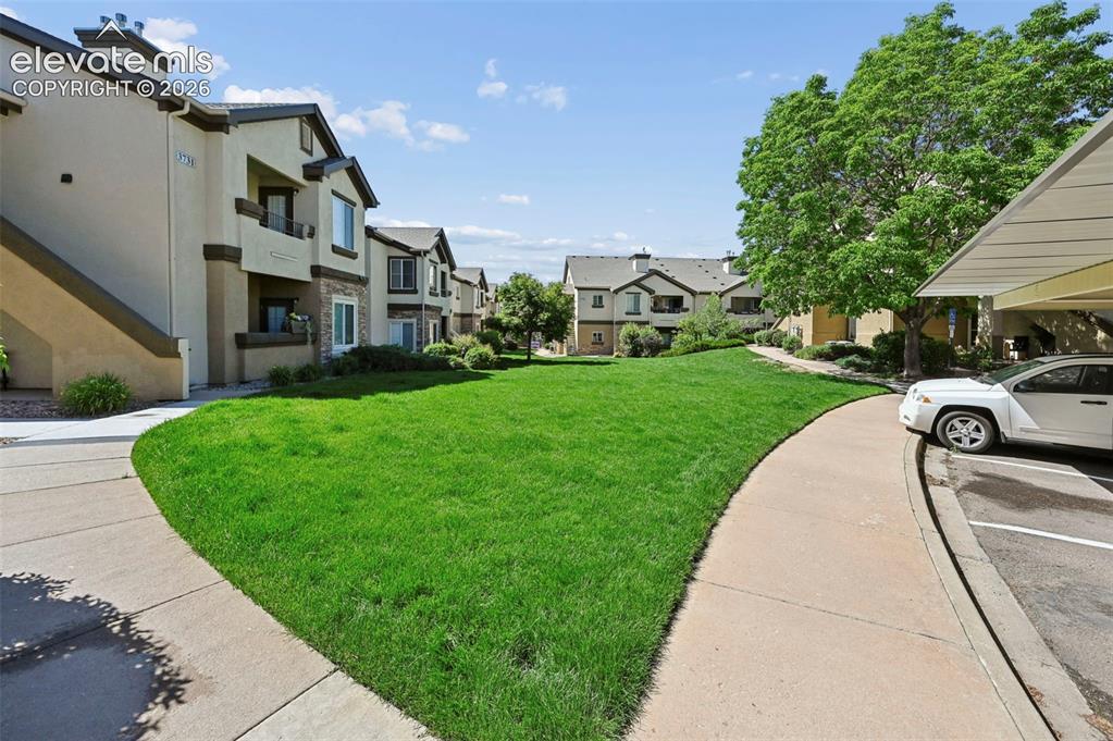 3715 Riviera Grove, Unit 101 Colorado Springs, CO 80922 - Photo 5 of 36 Expansive green lawn area bordered by a concrete walkway