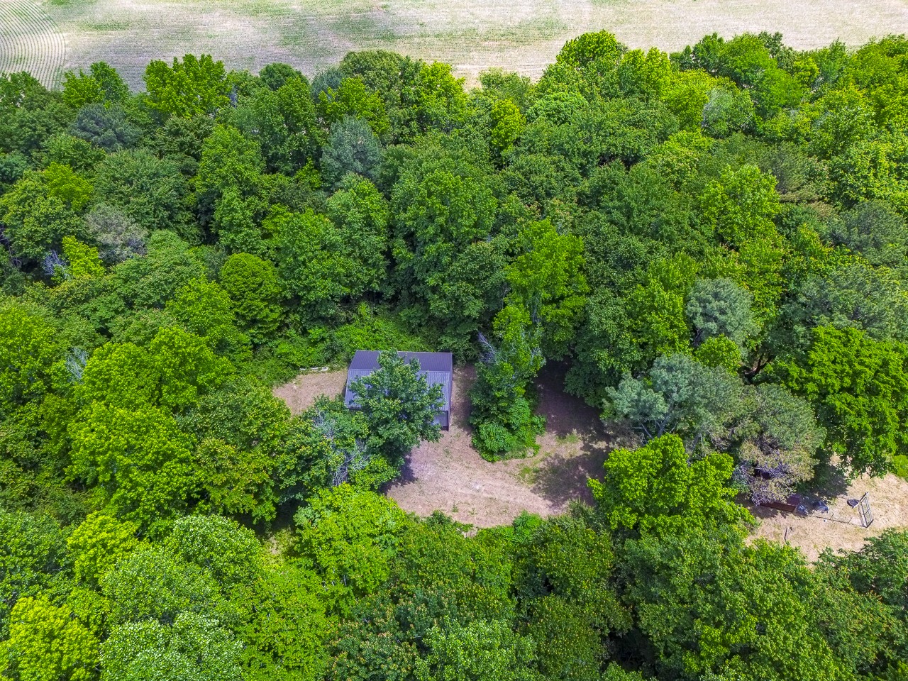 23 Grassy Branch Road Flintville, TN 37335 - Photo 15 of 24 a backyard of a house with lots of green space and plants