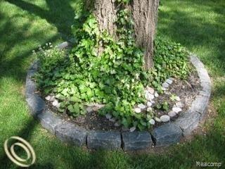 2340 Melvin Avenue Rochester, MI 48307 - Photo 19 of 22 Ivy Base.jpeg