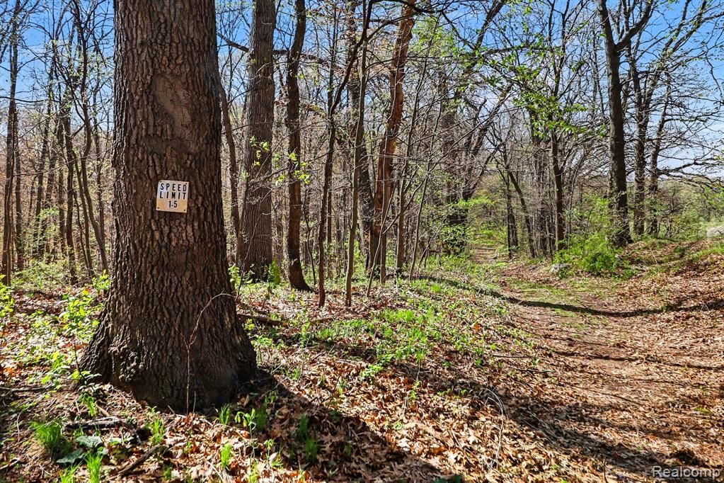 8815 Milford Road Holly, MI 48442 - Photo 18 of 52