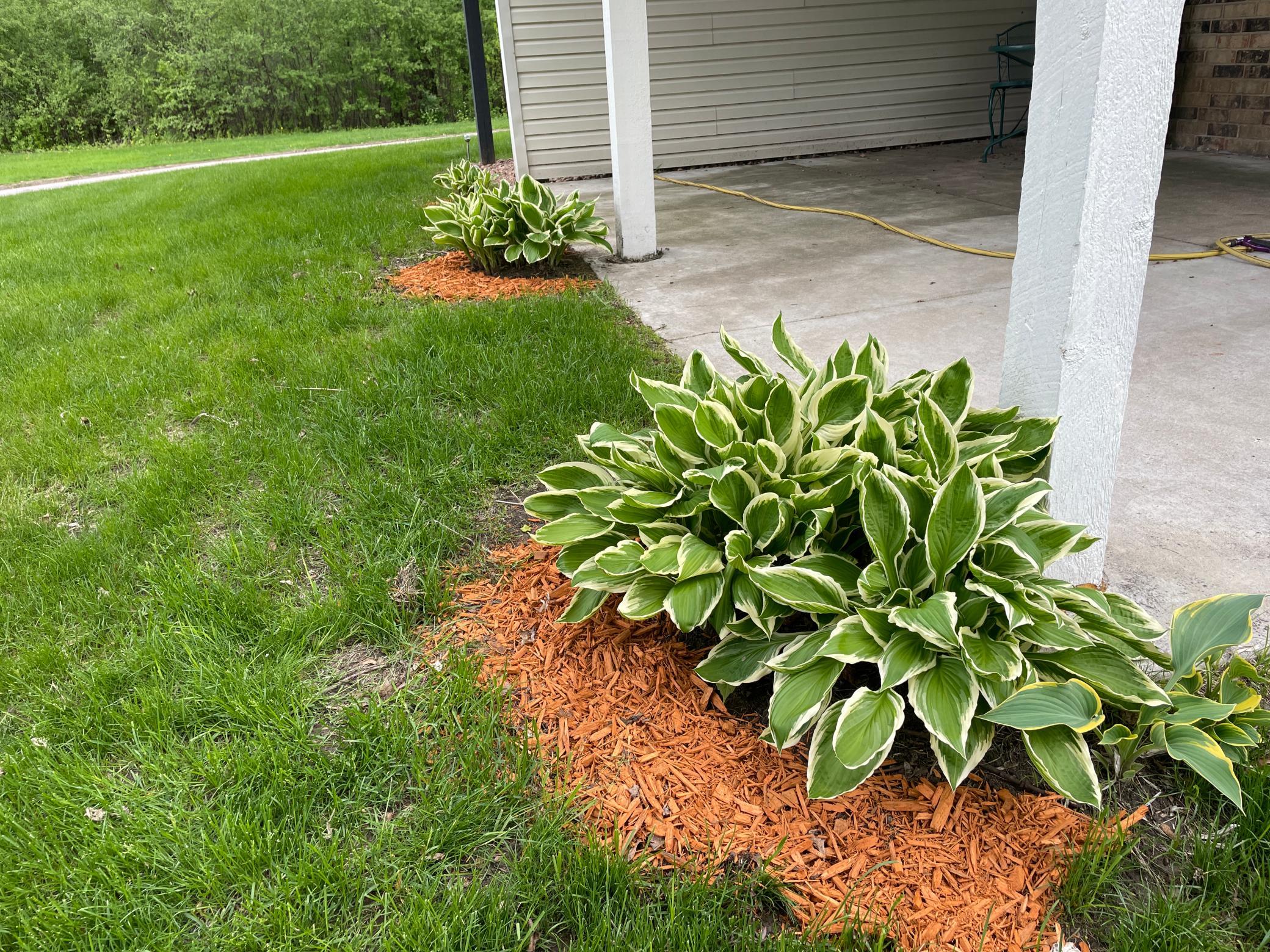 12232 Oak Leaf Circle Burnsville, MN 55337 - Photo 4 of 29