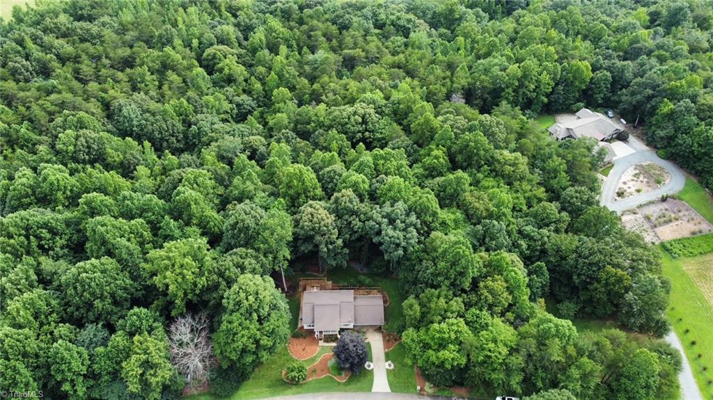7511 McGee Road Rural Hall, NC 27045 - Photo 5 of 39 4.36 Acres!