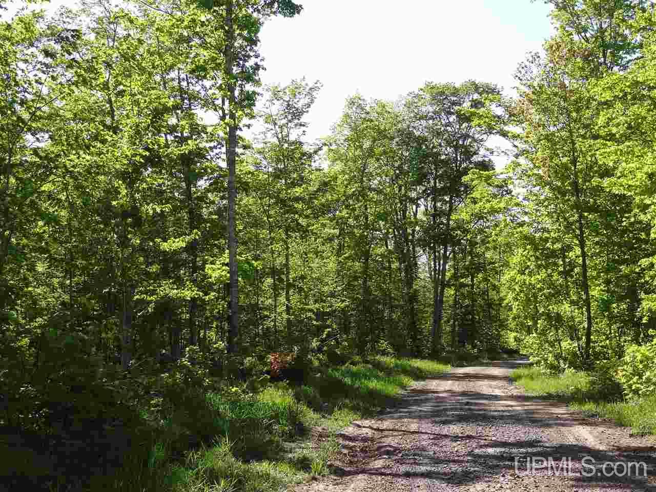 Tbd Challenge Mine Road Toivola, MI 49965 - Photo 21 of 24 Gallery Image 21