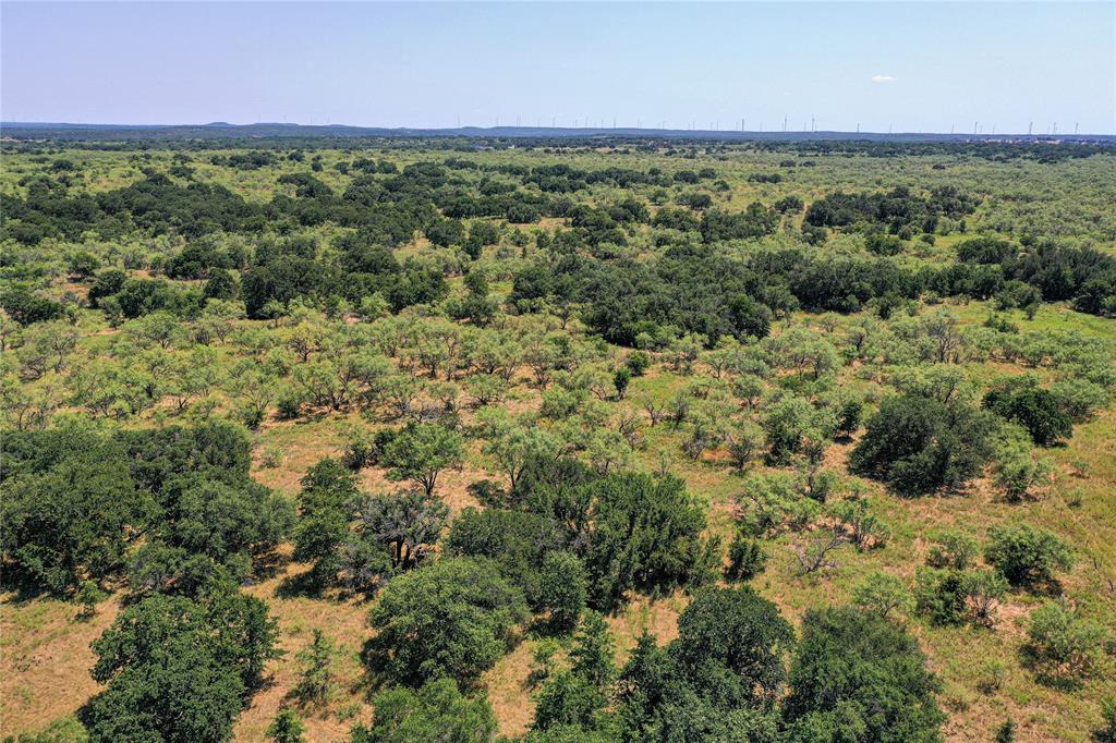 131.7-acres Roney Road Jacksboro, TX 76458 - Photo 14 of 40