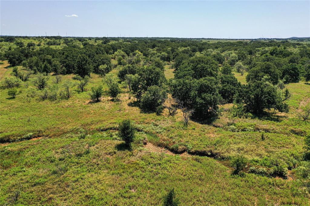 131.7-acres Roney Road Jacksboro, TX 76458 - Photo 15 of 40