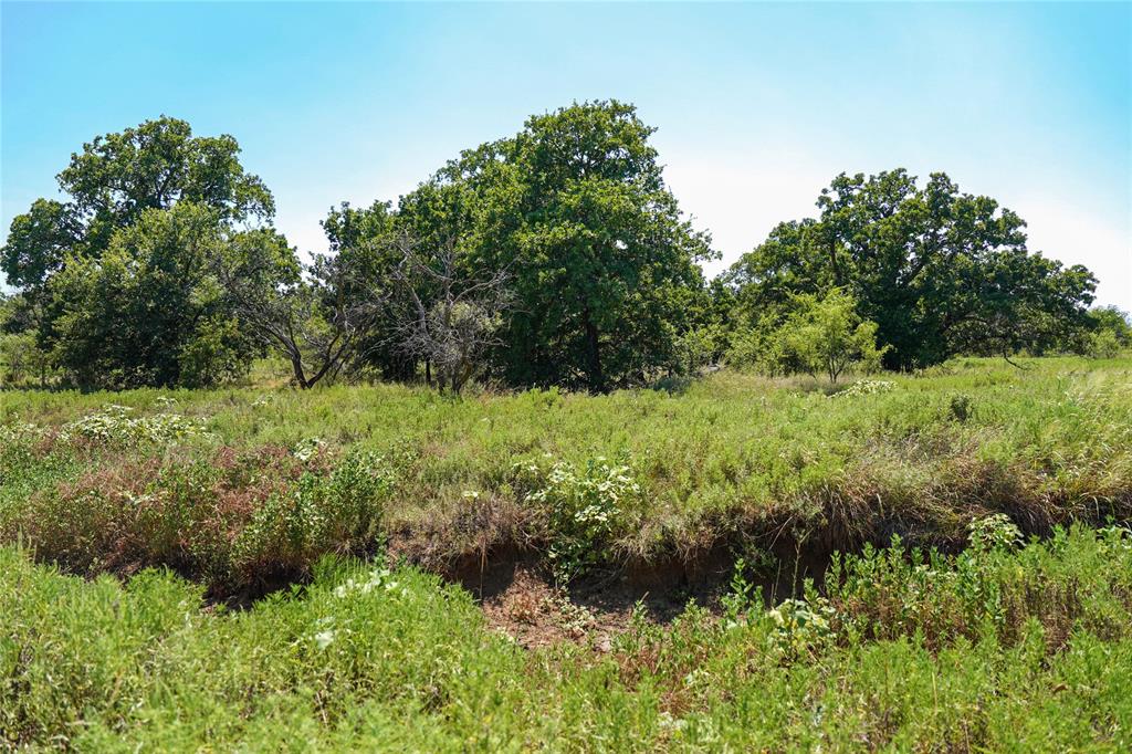 131.7-acres Roney Road Jacksboro, TX 76458 - Photo 22 of 40