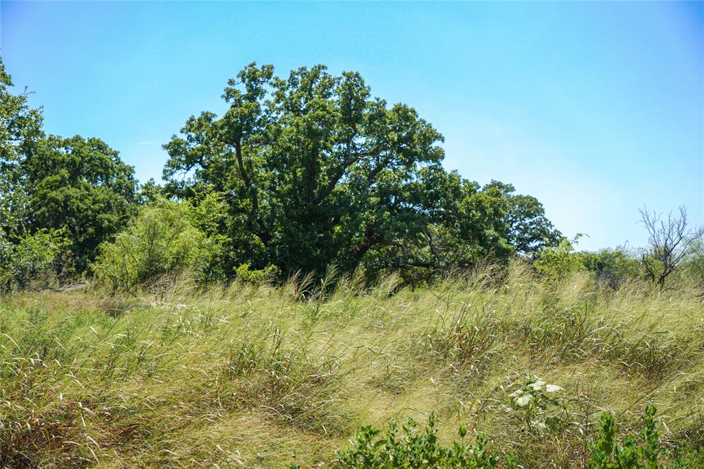 131.7-acres Roney Road Jacksboro, TX 76458 - Photo 23 of 40