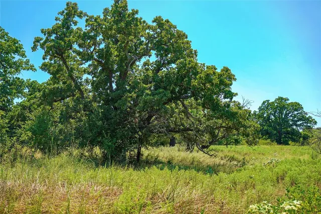 $1,250,000 | 131.7-acres Roney Road, Jacksboro, TX 76458