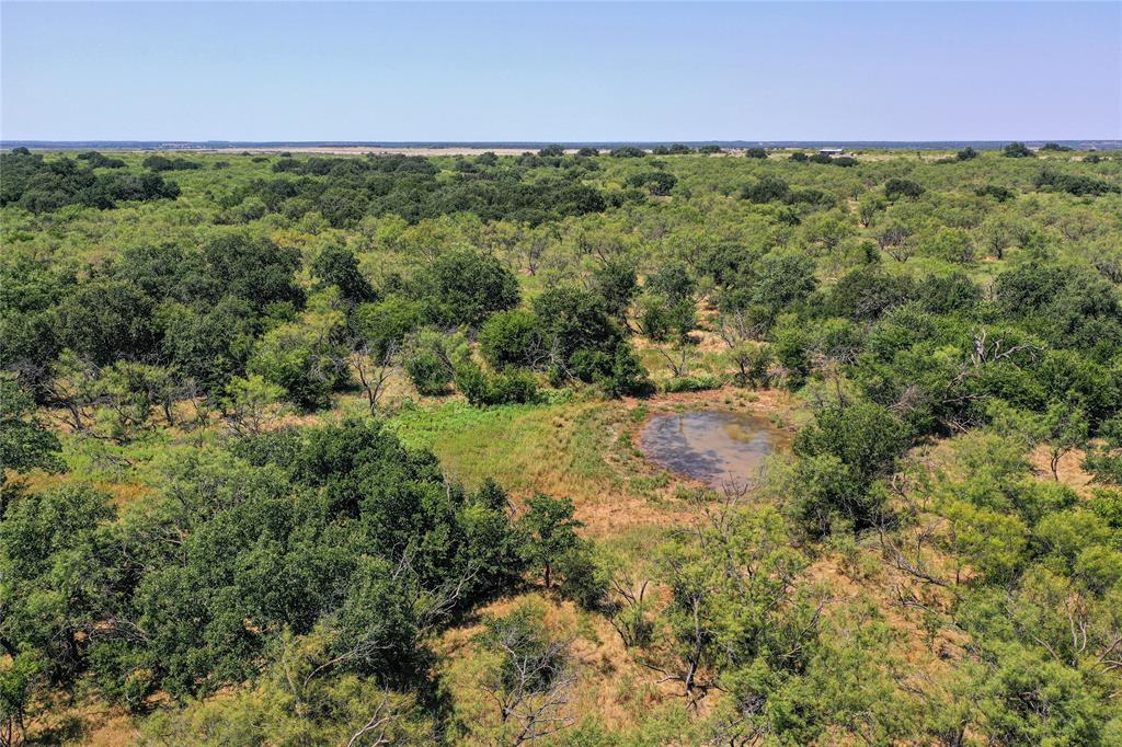 131.7-acres Roney Road Jacksboro, TX 76458 - Photo 38 of 40