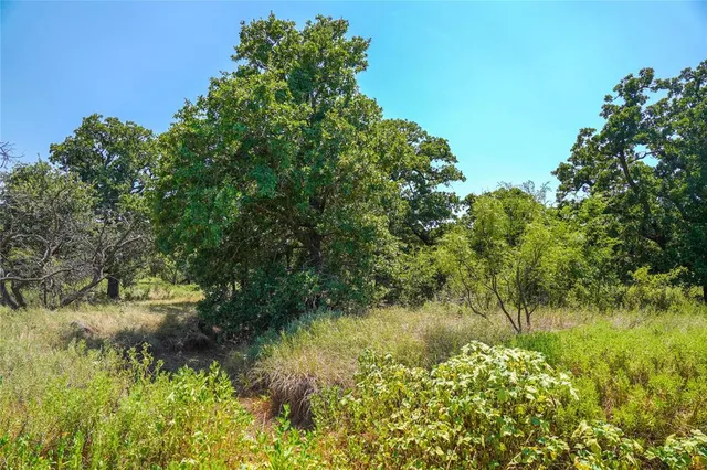 $1,250,000 | 131.7-acres Roney Road, Jacksboro, TX 76458
