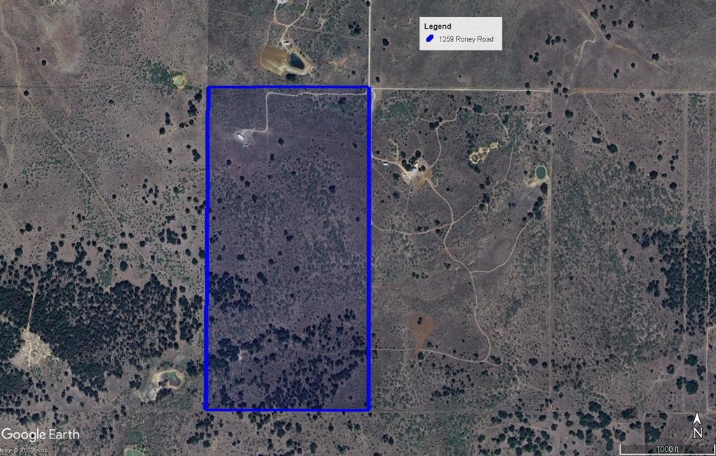 131.7-acres Roney Road Jacksboro, TX 76458 - Photo 40 of 40