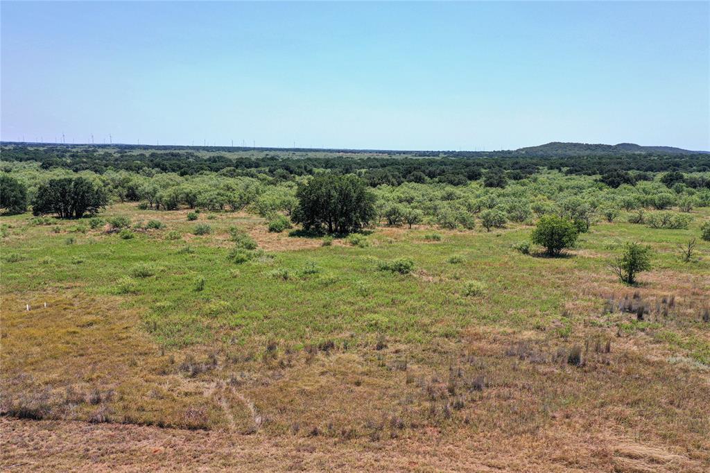 131.7-acres Roney Road Jacksboro, TX 76458 - Photo 7 of 40