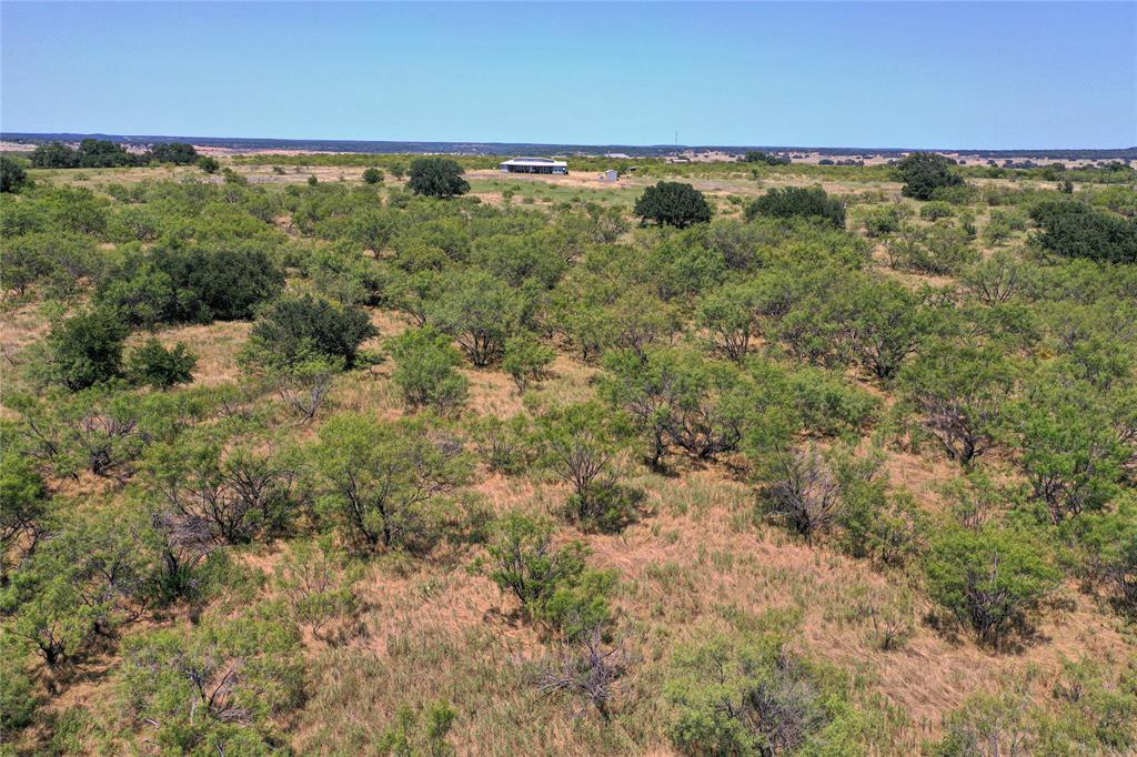 131.7-acres Roney Road Jacksboro, TX 76458 - Photo 10 of 40