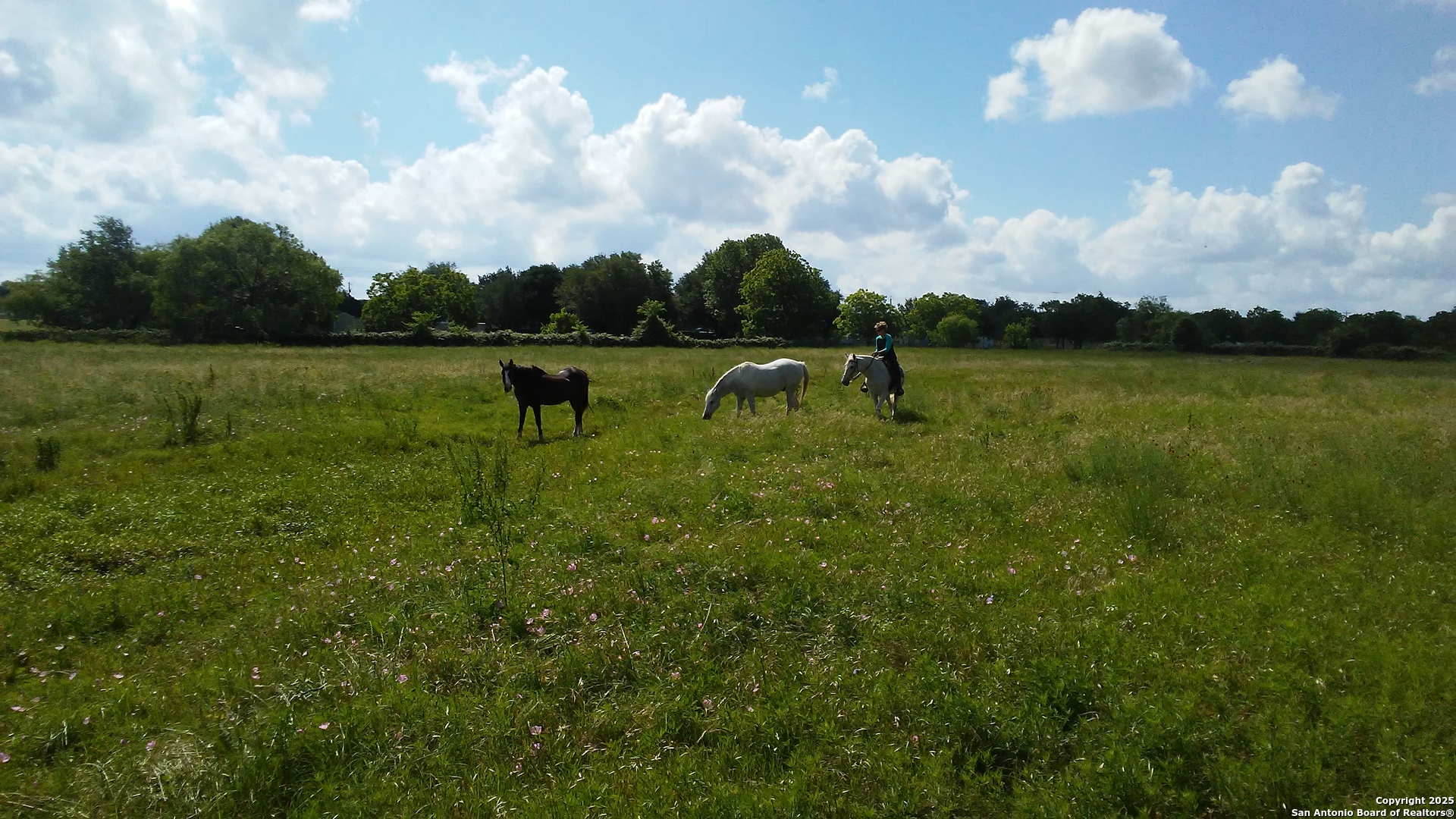 263 Krams Creek Road Seguin, TX 78155 - Photo 11 of 16 a view of a lake