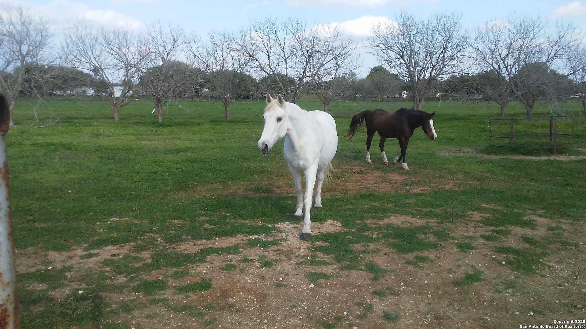 263 Krams Creek Road Seguin, TX 78155 - Photo 12 of 16 a view of outdoor space and yard