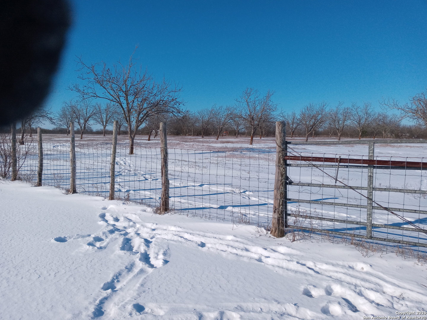 263 Krams Creek Road Seguin, TX 78155 - Photo 15 of 16 a view of a terrace