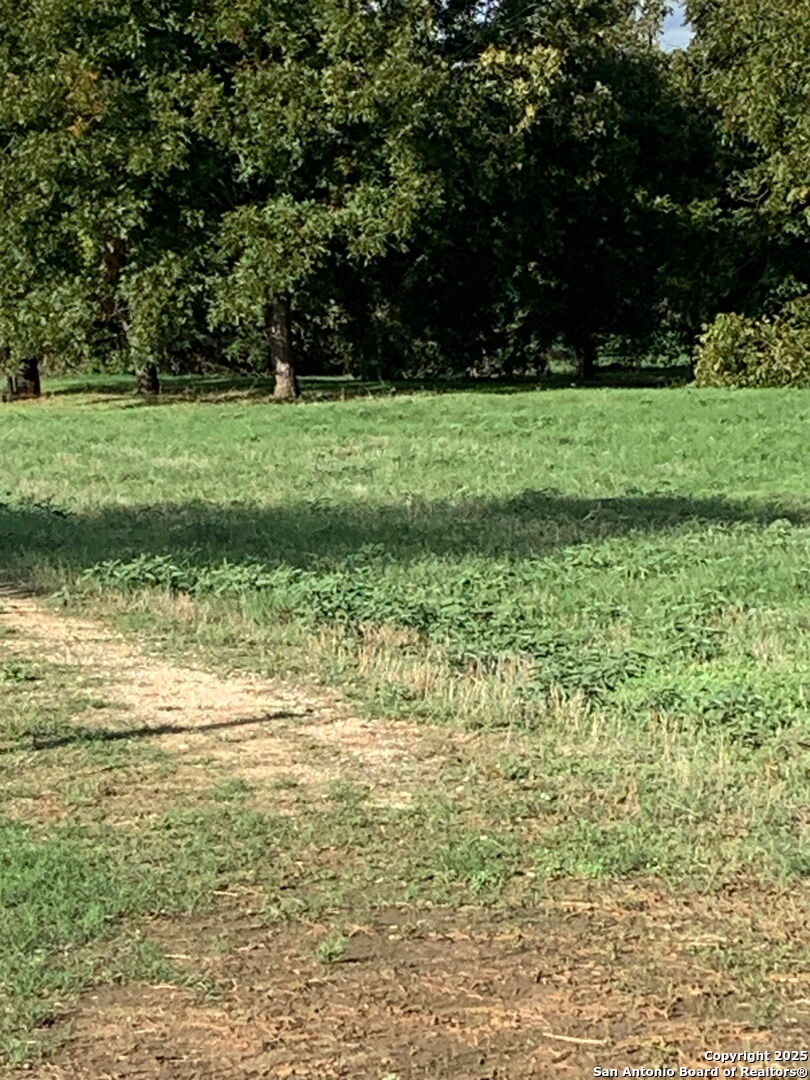 263 Krams Creek Road Seguin, TX 78155 - Photo 3 of 16 a view of a green yard with large trees