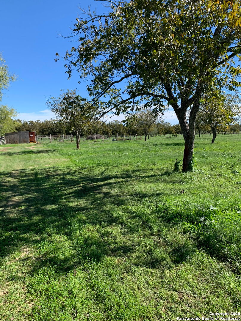 263 Krams Creek Road Seguin, TX 78155 - Photo 4 of 16 a view of field with trees