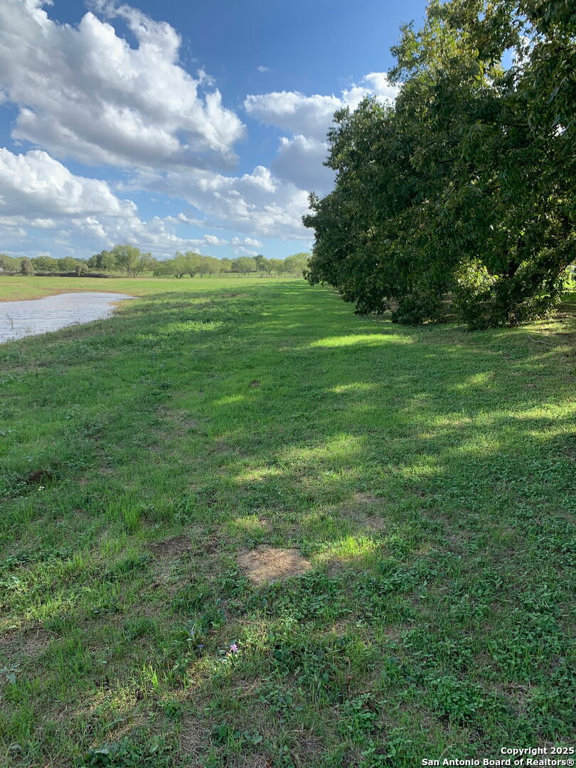 263 Krams Creek Road Seguin, TX 78155 - Photo 6 of 16 a view of a big yard with a large tree and a yard