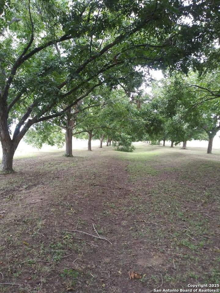 263 Krams Creek Road Seguin, TX 78155 - Photo 7 of 16 a view of dirt field with trees in front of it