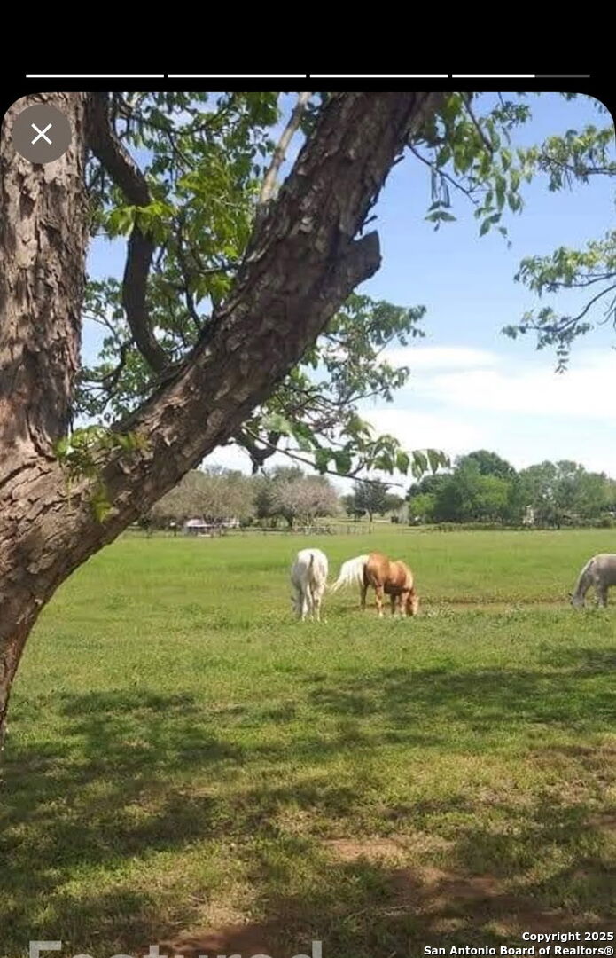 263 Krams Creek Road Seguin, TX 78155 - Photo 9 of 16 a lake view with beach