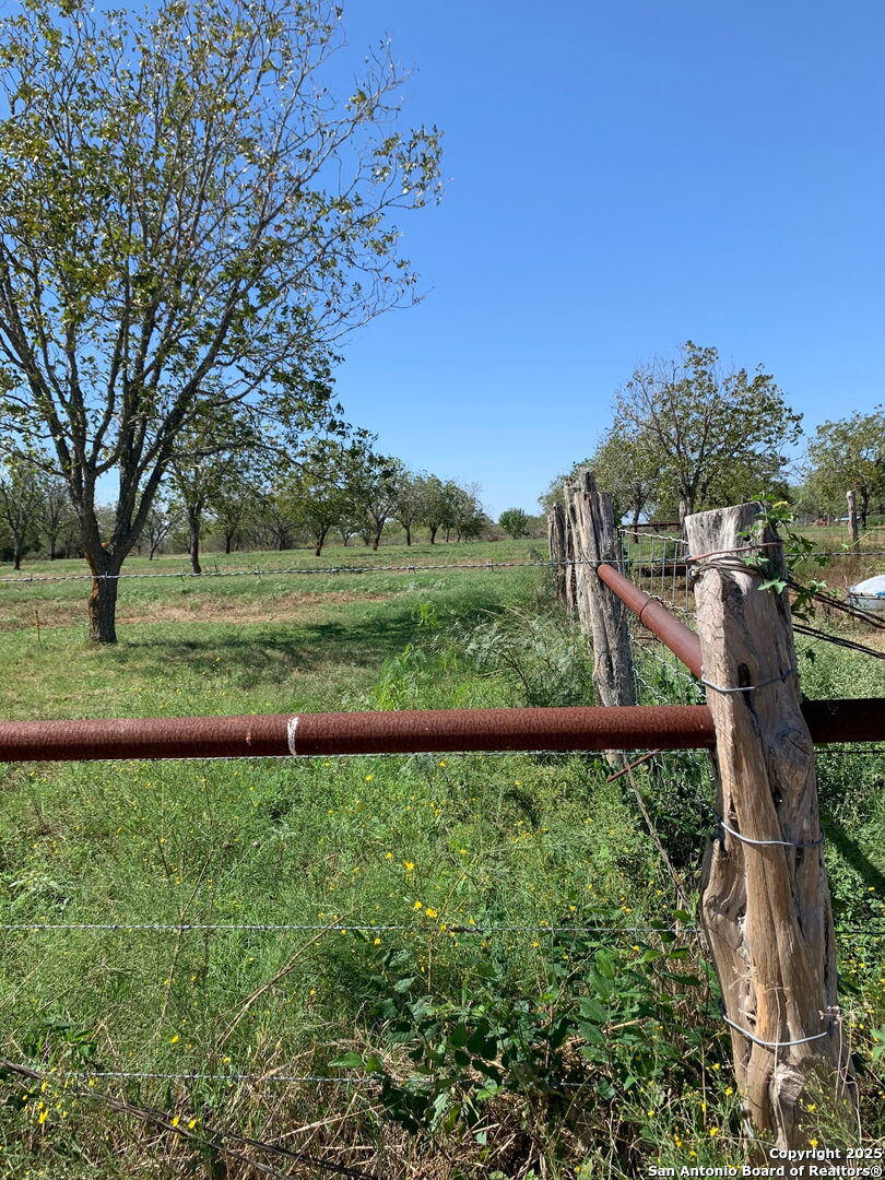 263 Krams Creek Road Seguin, TX 78155 - Photo 10 of 16 a view of a yard with a tree