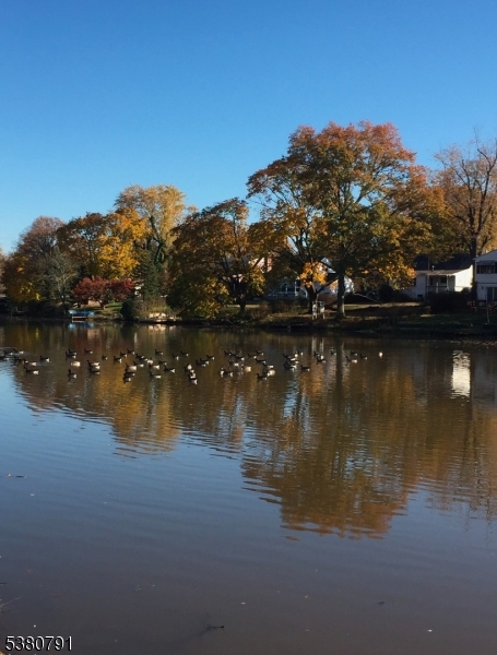 45 Lakeside Drive South Piscataway, NJ 08854 - Photo 6 of 8 a view of lake