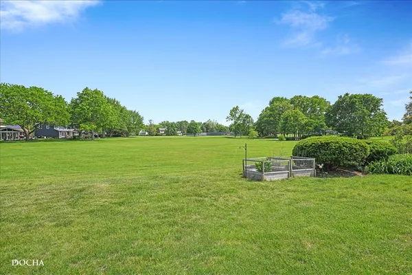 a view of a grassy field with trees in the background
