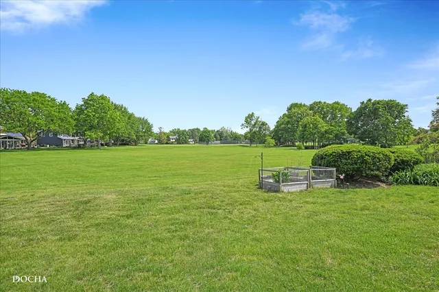 a view of a grassy field with trees in the background