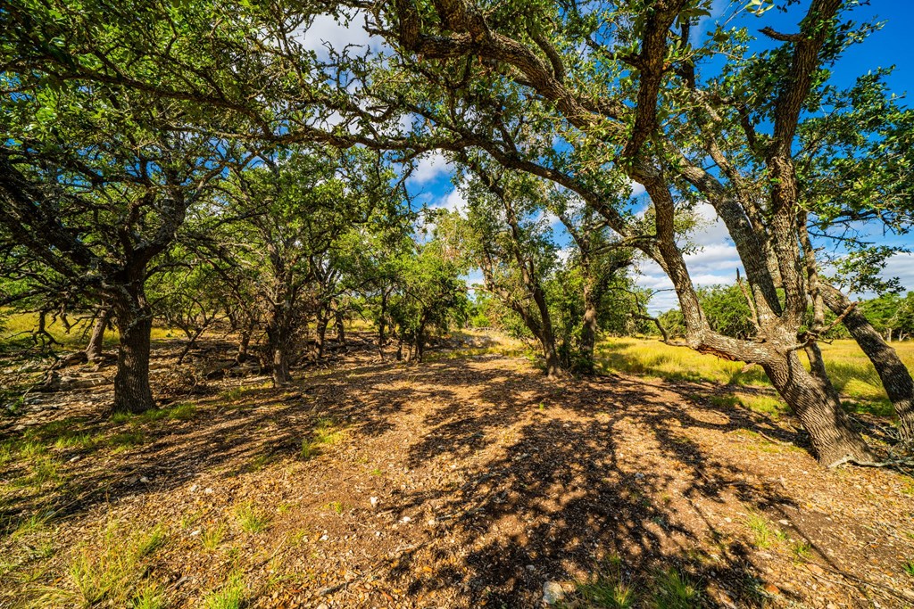 Lot 30 Reservation Road, Unit 30 Harper, TX 78631 - Photo 4 of 7 Gallery Image 4