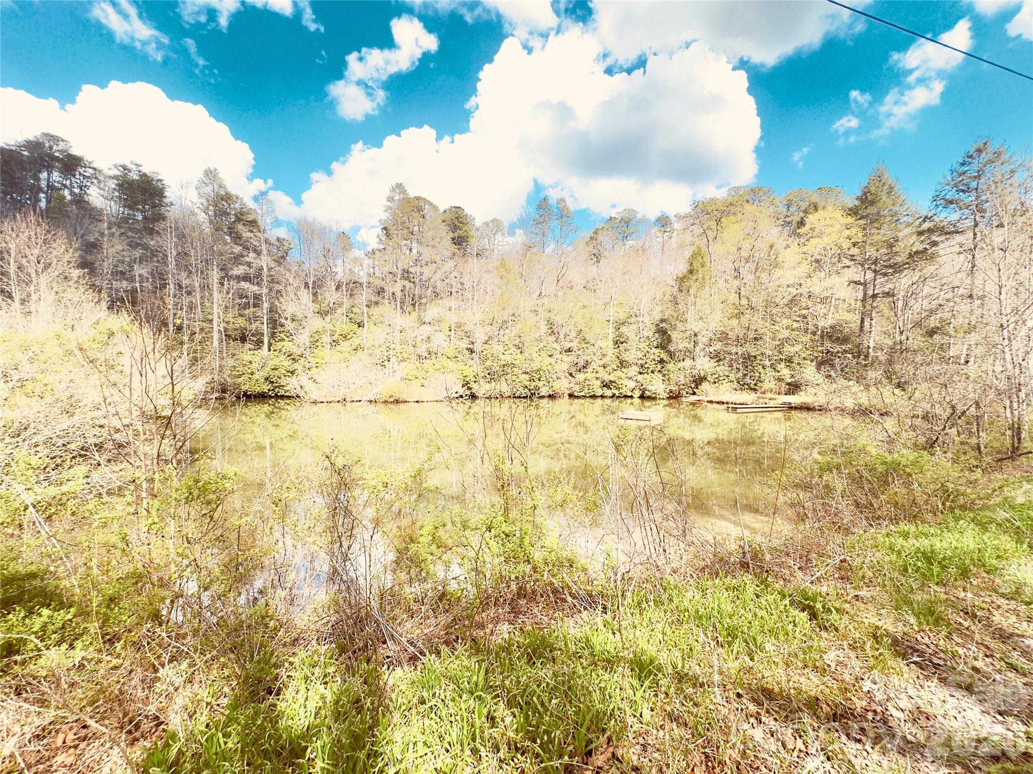 586 Liberty Church Road Marion, NC 28752 - Photo 1 of 8